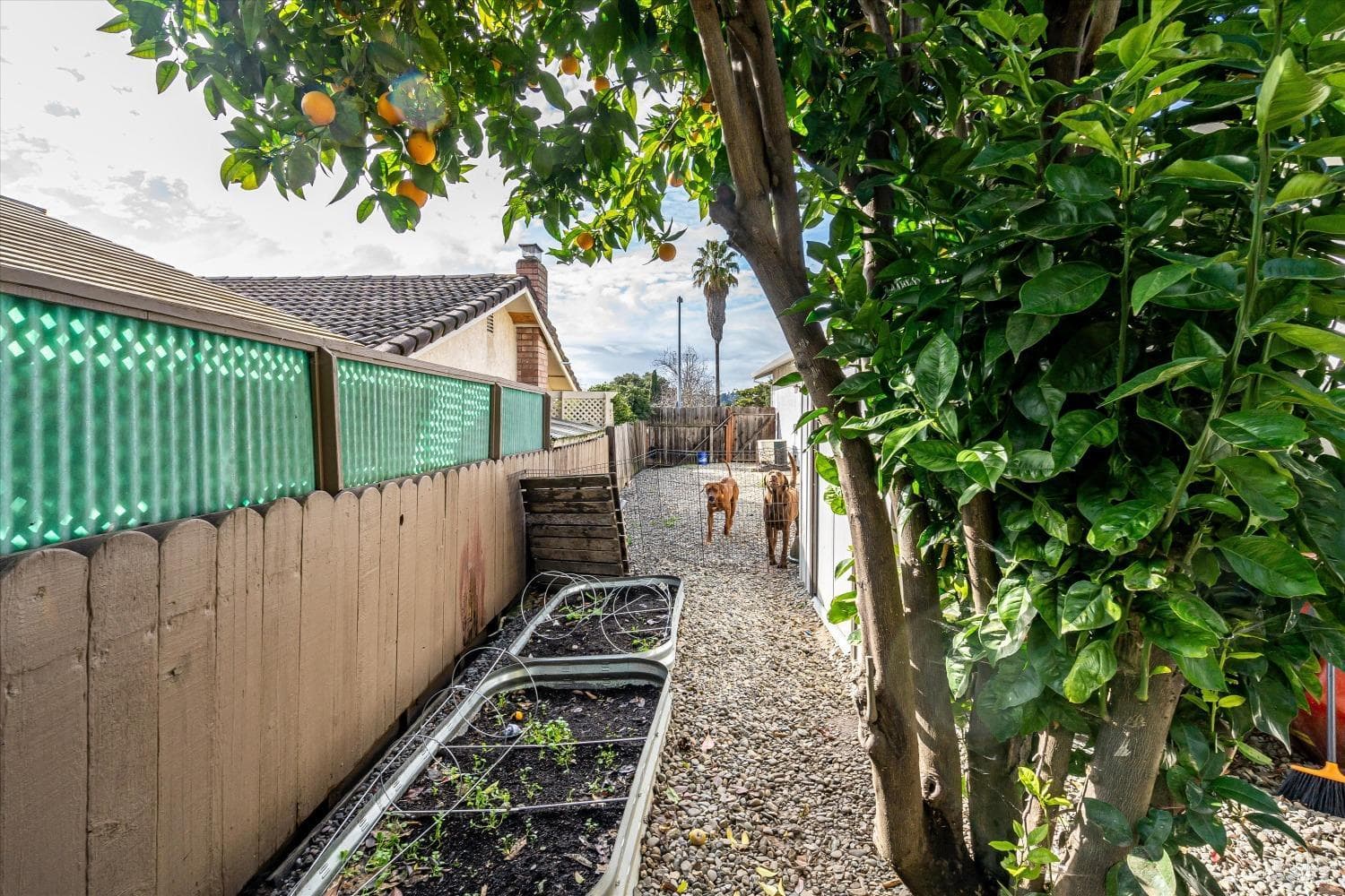 420 N Camino Alto Street, photo 32